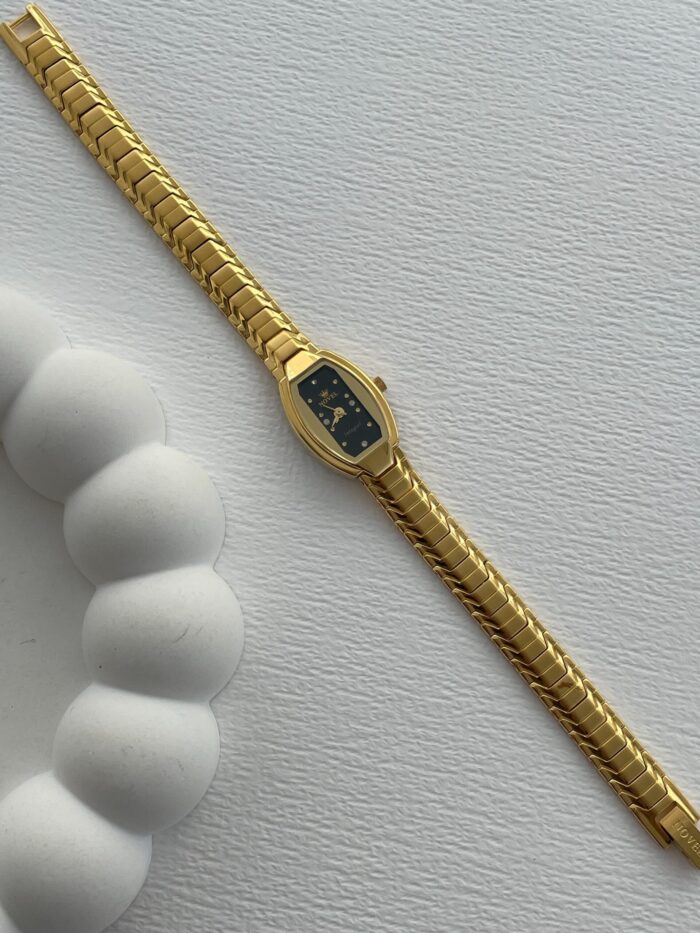 Çelik Siyah Kadran Vintage Gold Saat